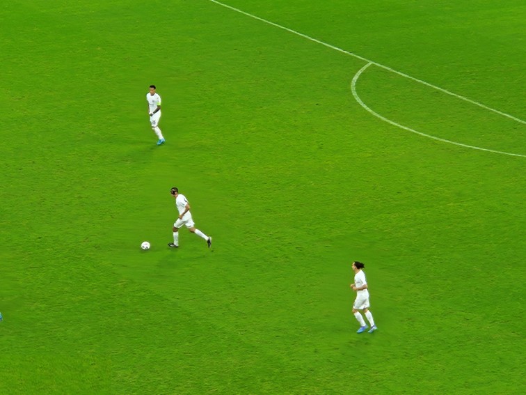 06 SGE Herren Europa League