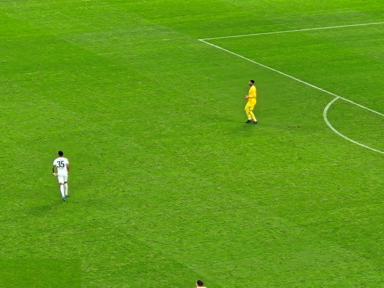 06 SGE Herren Europa League