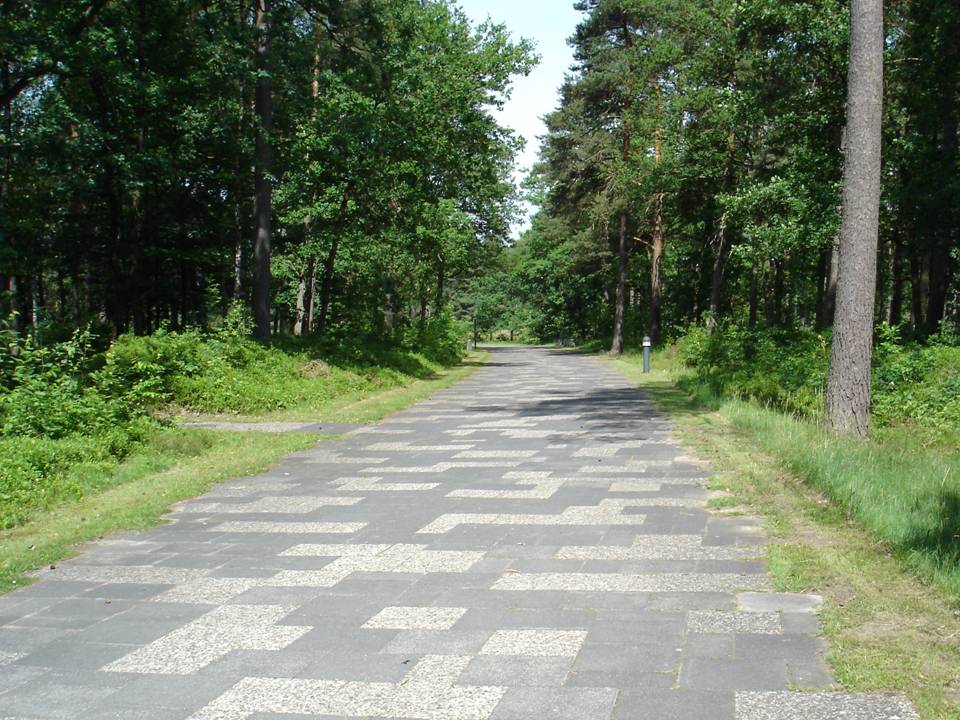 Bild 01