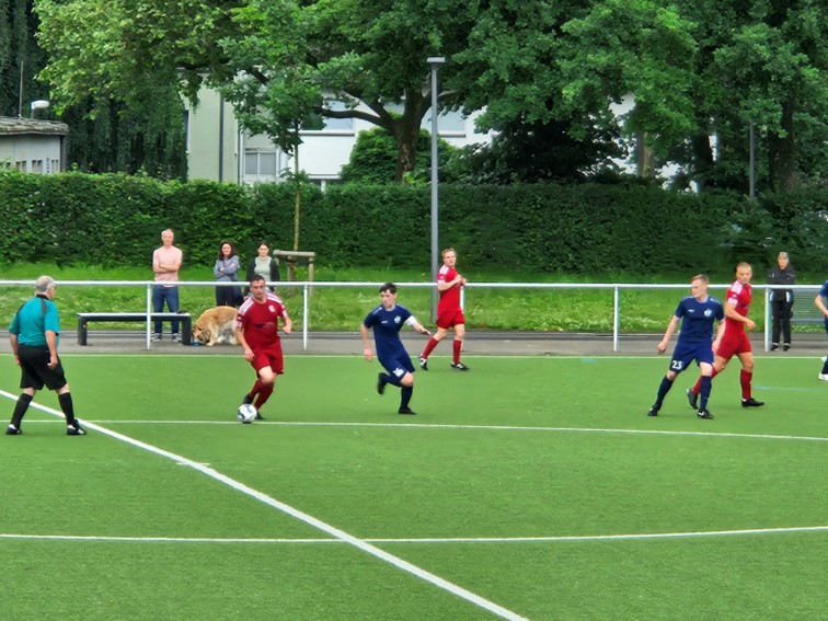 01 SV Westerholt