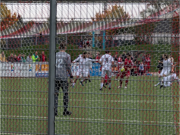 001 SV 1419 Westerholt Deutscher Meister